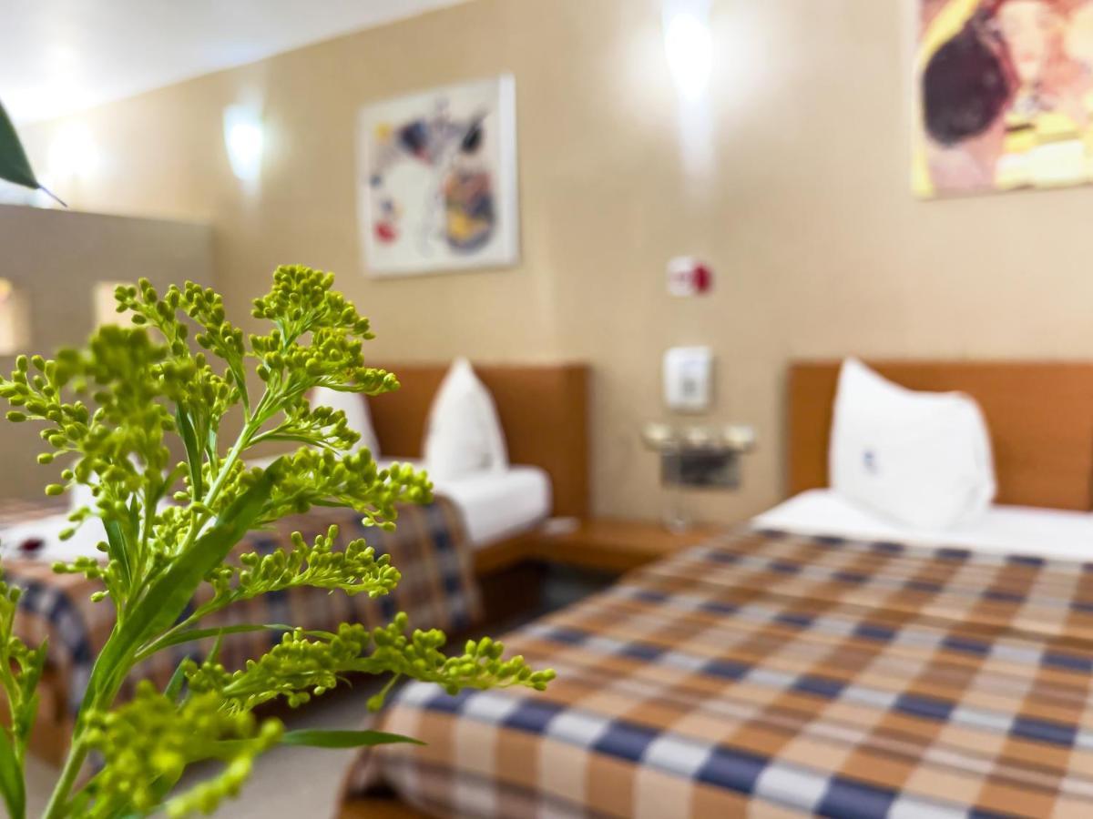 Auto Hotel Mediterraneo ハラパ エクステリア 写真